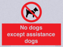 no-dogs-except-assistance-dogs~